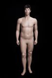 Mannequins Male With head (true to life) Skin Standing overweight
