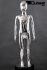 Mannequins Boy With head (Faceless) Chrome Standing Boris Slim