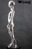 Mannequins Boy With head (Faceless) Chrome Standing Boris Slim