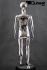 Mannequins Boy With head (Faceless) Chrome Standing Boris Slim