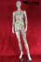 Mannequins Female Ida