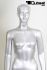 Mannequins Female Silver Standing Modeled hair