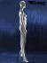 Mannequins Female With head (Faceless) Silver Standing Modeled hair