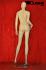 Mannequins Female With head (Faceless) Skin Standing Modeled hair