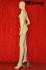Mannequins Female With head (Faceless) Skin Standing Modeled hair
