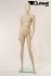 Mannequins Female With head (Faceless) Skin Standing