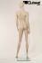 Mannequins Female With head (Faceless) Skin Standing