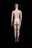 Mannequins Female With head (true to life) Skin Standing Anna Slim Sporty Modeled hair