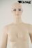 Mannequins Female With head (true to life) Skin Standing