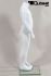 Mannequins Headless White shining Standing