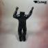 Mannequins Headless black shining Slim