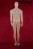 Mannequins Male Standing