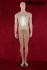 Mannequins Male Standing