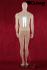 Mannequins Male Standing