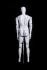 Mannequins Male With head (Faceless) White shining Standing Slim