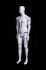 Mannequins Male With head (Faceless) White shining Standing Slim