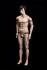 Mannequins Male With head (true to life) Skin Standing Slim