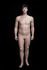 Mannequins Male With head (true to life) Skin Standing overweight