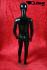 Mannequins With head (Faceless) black shining Standing