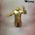 Schaufensterpuppen Unisex Kind ohne Kopf Gold sitzend Leo Schlank